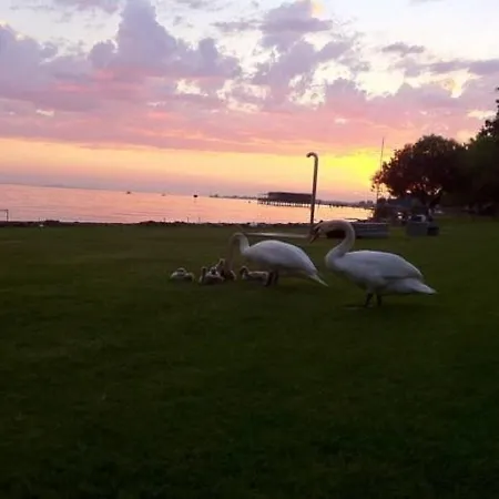Bodensee-ferienwohnung Am Ruggbach Apartament